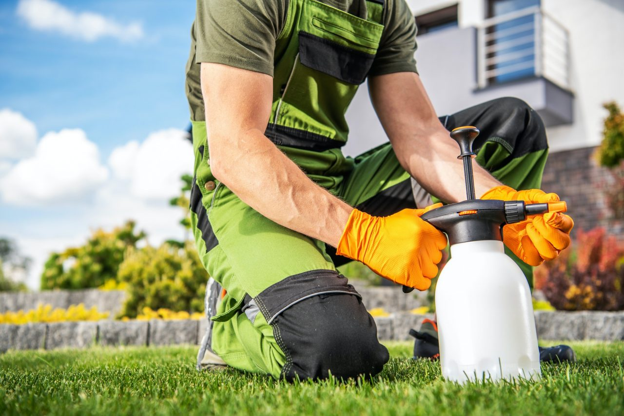 Irrigation & Drainage