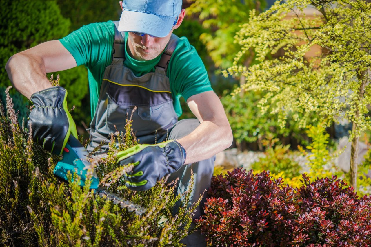 Lawn & Garden Care Service