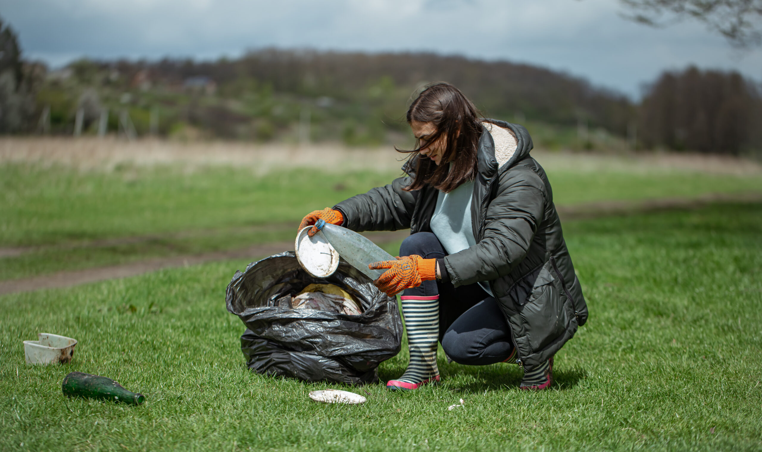 pet waste removal service